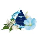 Paglieri Felce Azzurra Duschgel Muschio Bianco 400 ml
