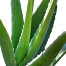 MALIZIA UOMO SILVER Duschgel & Shampoo 2in1 mit Aloe...