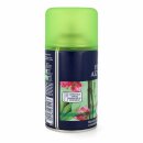 Paglieri Felce Azzurra Aria di Casa Lufterfrischer-Spray Bambus und Lotusblüte refill 250 ml