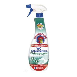 Chante Clair WC Aktiv-Schaum Entkalker 625 ml