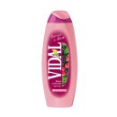 VIDAL Badeschaum Brombeere & Moschus 500 ml