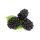 VIDAL Badeschaum Brombeere & Moschus 500 ml