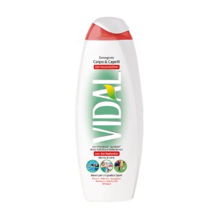 VIDAL Badeschaum anti bakteriell Minze & Lime 500 ml
